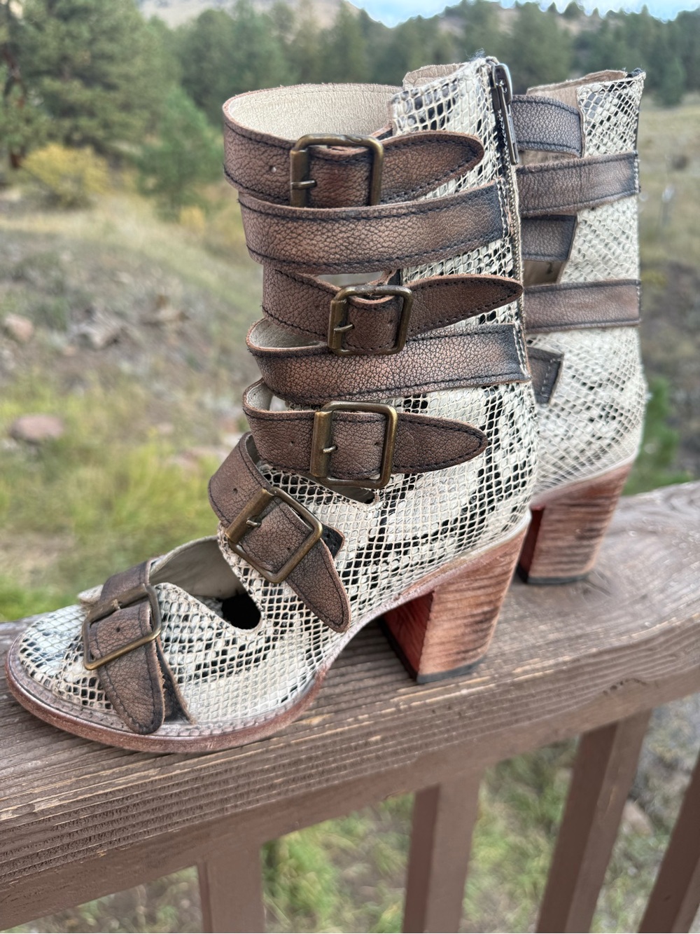Freebird Bond Heeled Gladiator Sandals _ 7